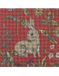 LAPIN ASSIS fond rouge