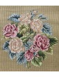 ROSES AURORE