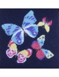 ENVOL DE PAPILLONS