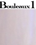 Bouleaux 1